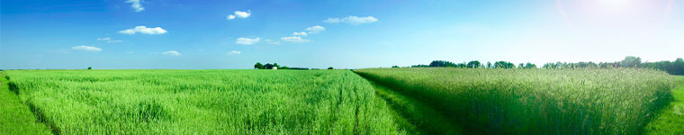 web design Sussex